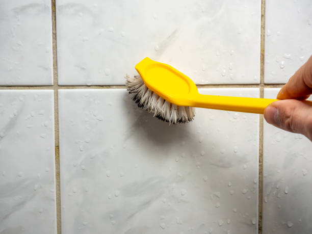 Best Professional Mold Removal  in Meadow Vale, KY