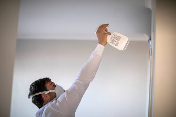 Best Emergency Mold Removal  in Meadow Vale, KY