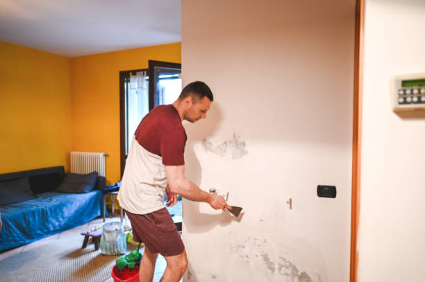 Best Mold Cleaning Services  in Meadow Vale, KY